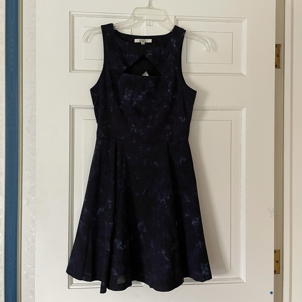 BB Dakota dress